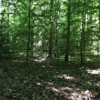 Lot 151 Steel Tram Ridge images 5