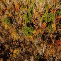 12.7 Acres with a Home in Lafayette County MS images 3