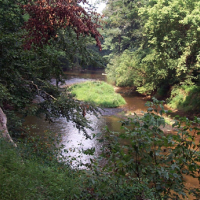 Delaware State Park  4,670 Acres of Duck Hunting in Delaware, OH images 2