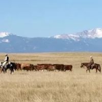 Heartbar Ranch images 1