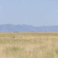 Heartbar Ranch images 4