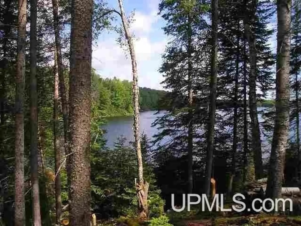 Michigan 93.9 Acres on Private Lake 50162791 featured image