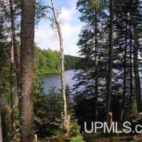 Michigan 93.9 Acres on Private Lake 50162791