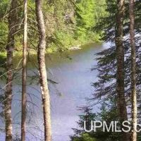 Michigan 93.9 Acres on Private Lake 50162791 images 2