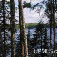 Michigan 93.9 Acres on Private Lake 50162791 images 3