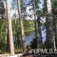 Michigan 93.9 Acres on Private Lake 50162791 images 4