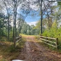 221 Acres of Premium Hunting Pike Co. images 2