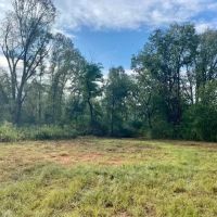 221 Acres of Premium Hunting Pike Co. images 3