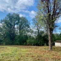 221 Acres of Premium Hunting Pike Co. images 5