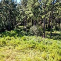 00 Trinlady Park Road Trinity TX 75862