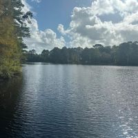 Satilla River Getaway images 2