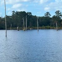 Satilla River Getaway images 4