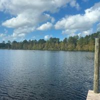 Satilla River Getaway images 5