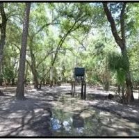 Hunting Preserve 370 - acres on Charlie Creek