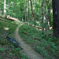 East Fork State Park 4,870 Acres of Deer Hunting in Clermont, OH images 4