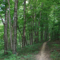 East Fork State Park 4,870 Acres of Deer Hunting in Clermont, OH images 3