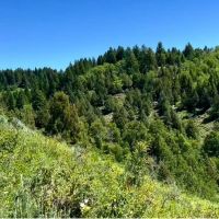 Henry s Fork Highlands Ranch images 4
