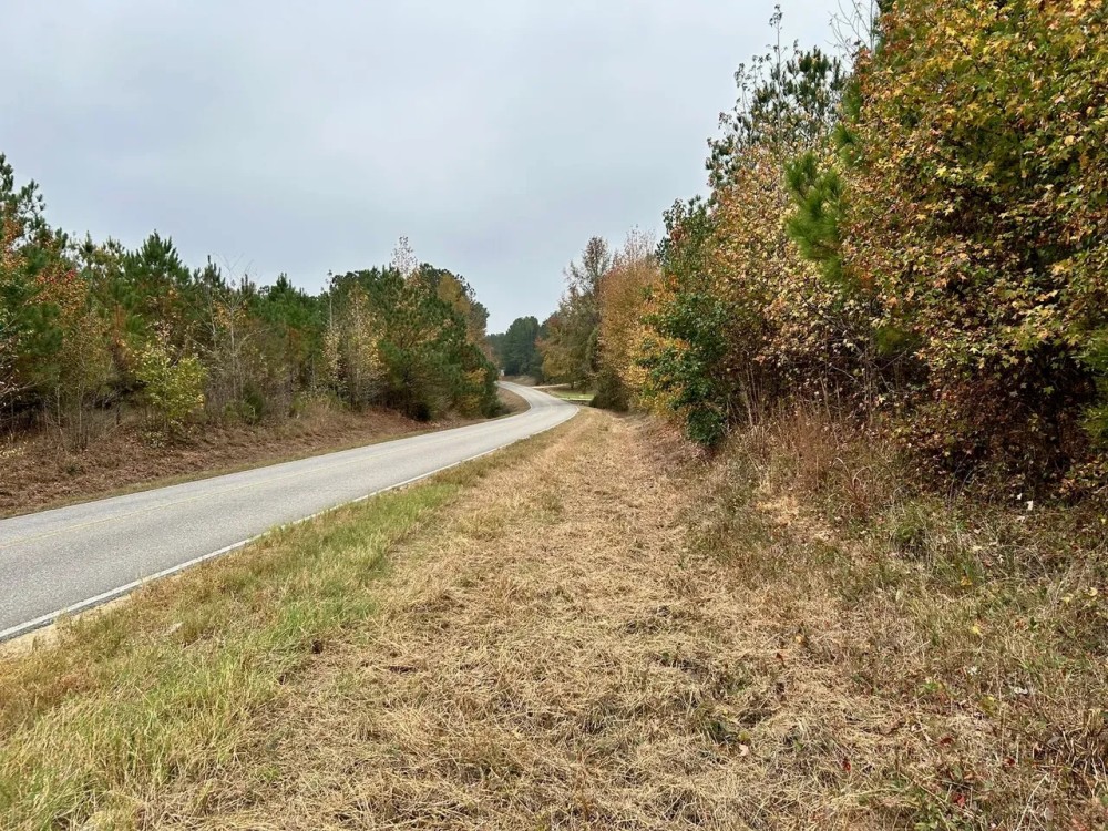 - 91 Acres Vernon Alabama featured image