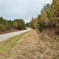 - 91 Acres Vernon Alabama