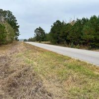 - 91 Acres Vernon Alabama images 2