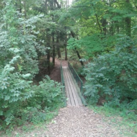 1,831 Acres for Waterfowl Hunting East Harbor State Park in Ottawa , OH images 5