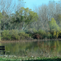 1,831 Acres for Waterfowl Hunting East Harbor State Park in Ottawa , OH images 2