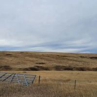 40 Acres - Land for Sale