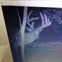 KY TN State Line 75 images 4