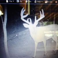 KY TN State Line 75 images 5
