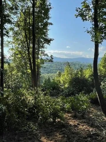 150 Acres - Sold in four Parcels featured image