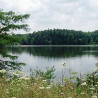 838 Acres Findley State Park for Duck Hunting in Lorain, OH images 4