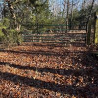 40 - Acres Prime Hunting Property Mature Timber Randolph County Arkansas images 3