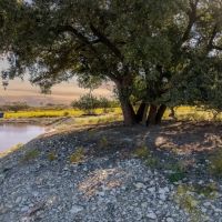 ASPEN CREEK FARM 49 Acres images 3