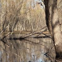 Quitman County MS - Bland Road 91 Acres