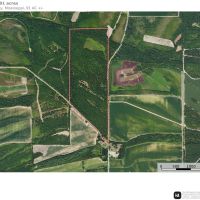 Quitman County MS - Bland Road 91 Acres images 2