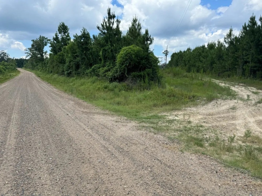 LA - Ouachita 40 acres - featured image