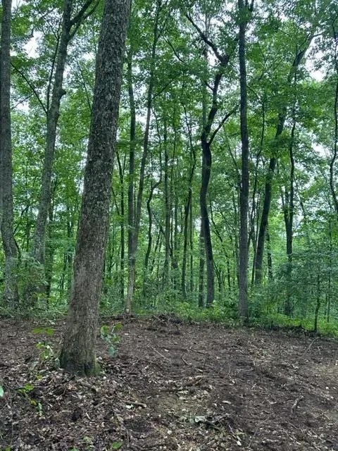 Lot 340 Deep Branch featured image