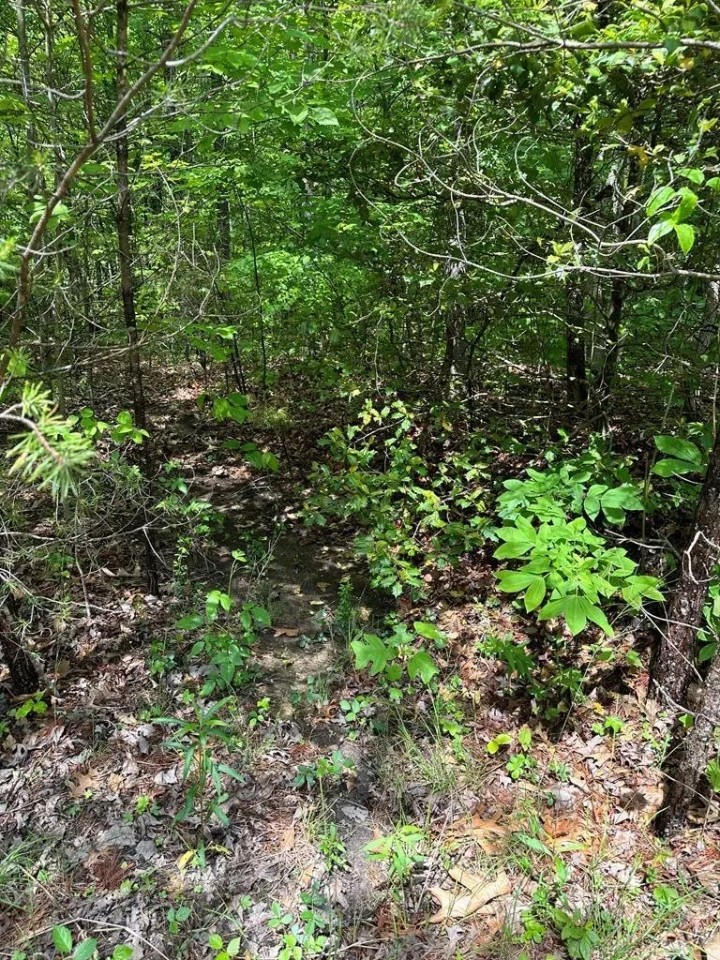 Lot 408 East Obey Lane featured image