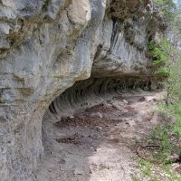 Wet Glaize Creek Acres images 5