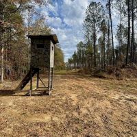 Hunting and Timberland for Sale in Amite County MS