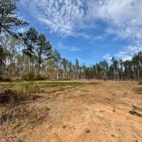 Hunting and Timberland for Sale in Amite County MS images 4