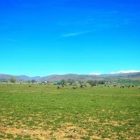 Richland Farm