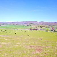 Richland Farm images 2