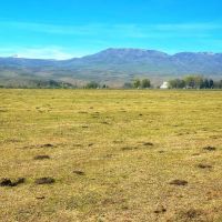 Richland Farm images 4