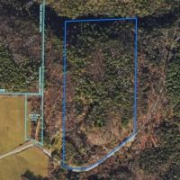 30 Wooded Acres of Hunting Land near State Forest in Cameron NY Angel Rd images 4