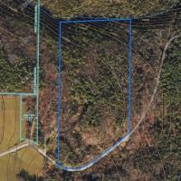 30 Wooded Acres of Hunting Land near State Forest in Cameron NY Angel Rd images 5