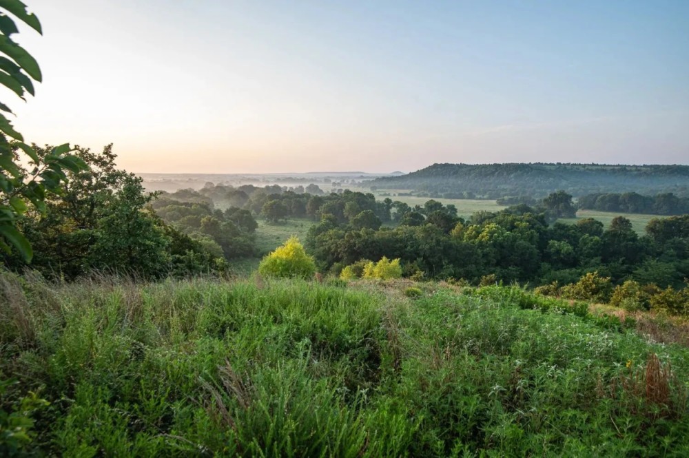 Premier Hunting Cattle Ranch for Sale Near McAlester OK featured image