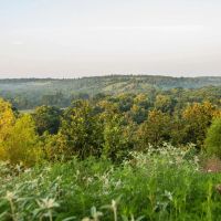 Premier Hunting Cattle Ranch for Sale Near McAlester OK images 2