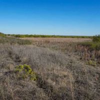 Bobwhite Draw