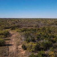 Bobwhite Draw images 2